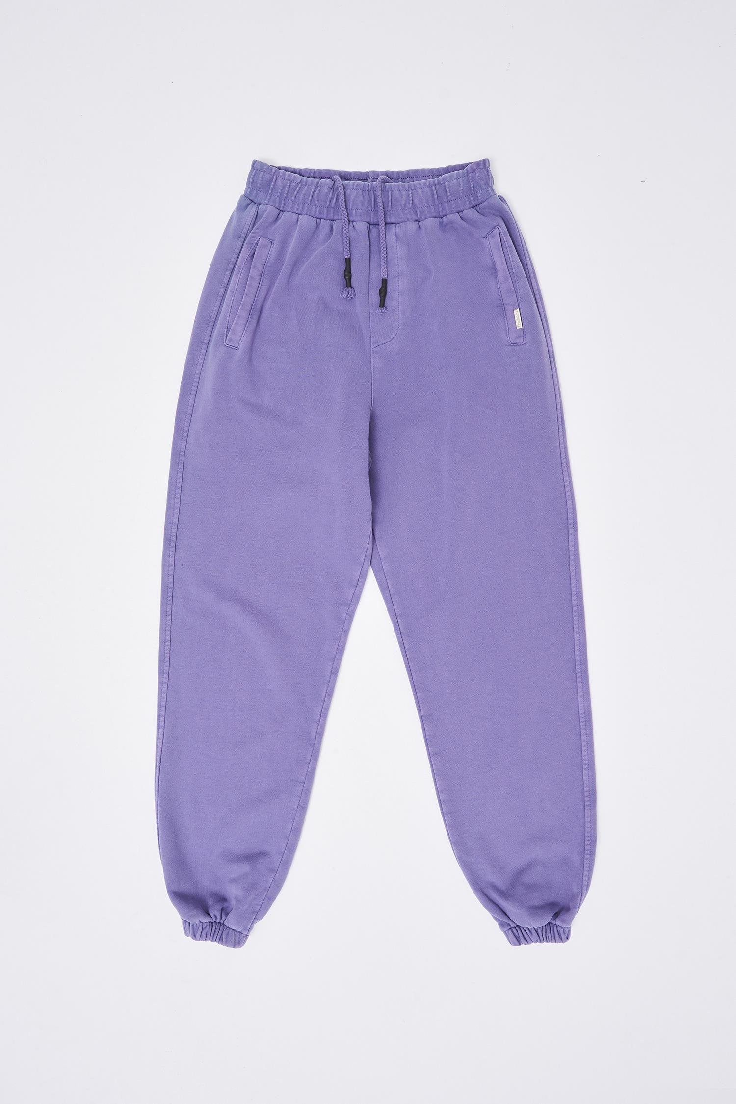 Erkek Yıkamalı Basic Jogger Eşofman Altı Mor