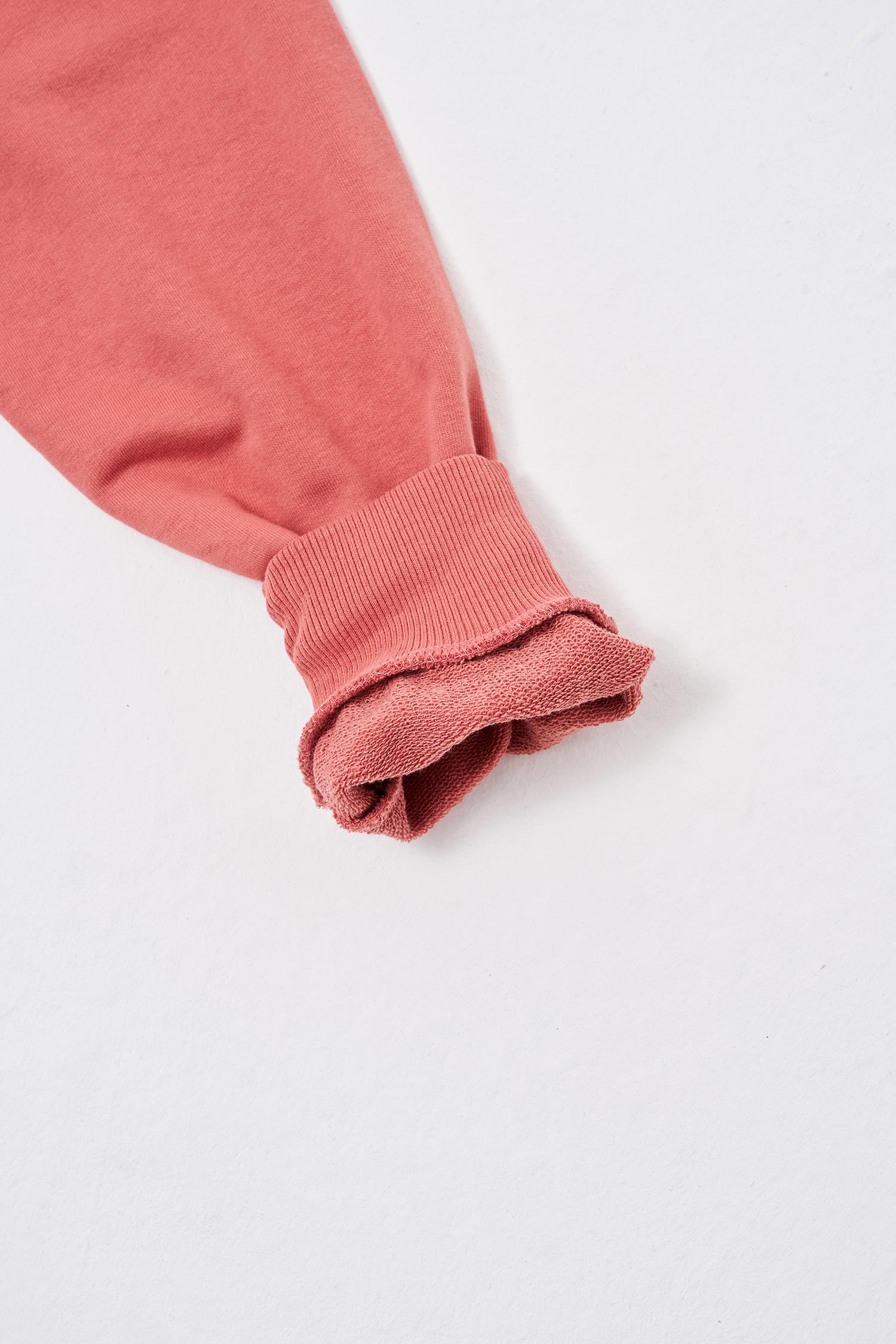 Erkek Regular Şardonsuz Hoodie Gülkurusu