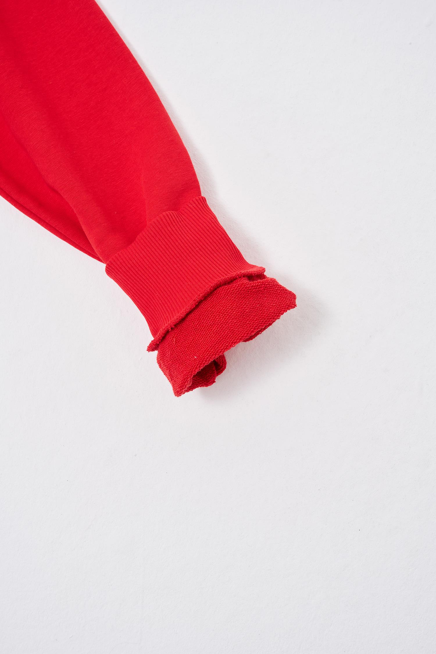 Erkek Regular Şardonsuz Hoodie Kırmızı